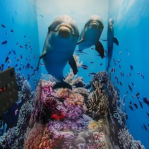  Hostel Tabist Sparkling Dolphins